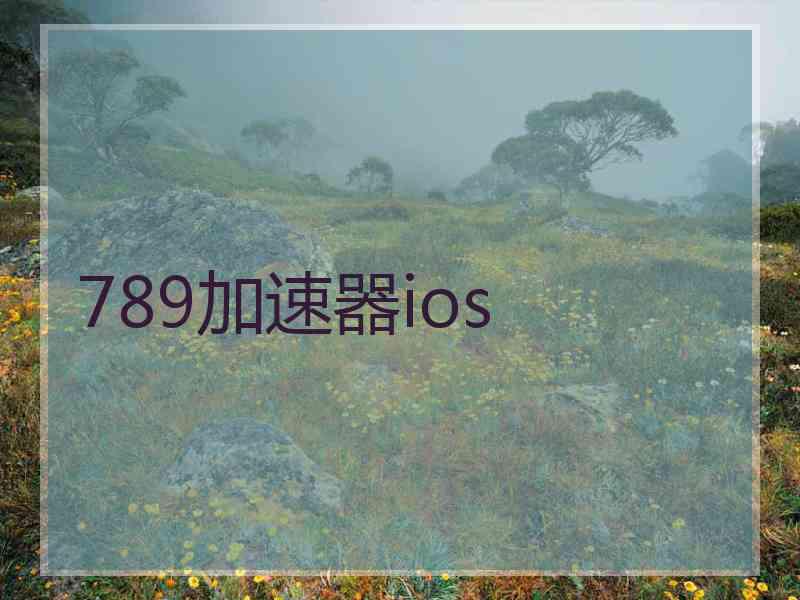 789加速器ios
