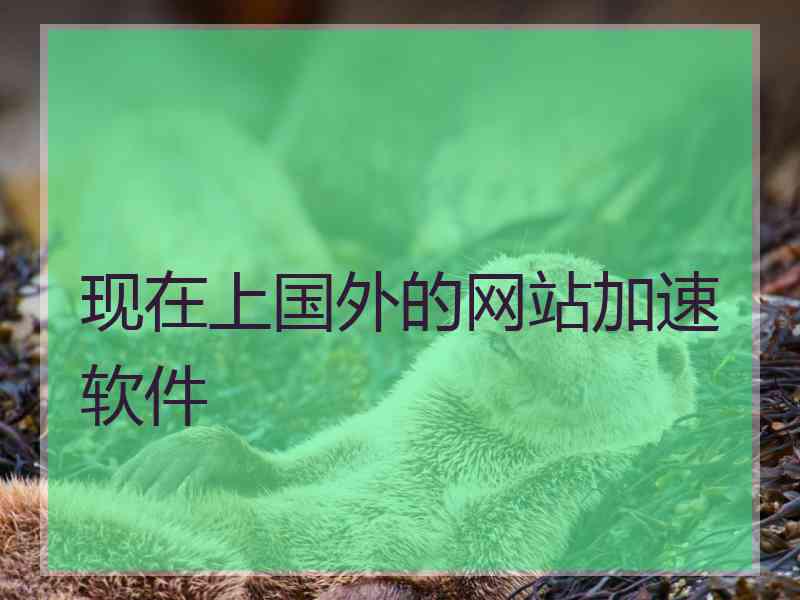 现在上国外的网站加速软件