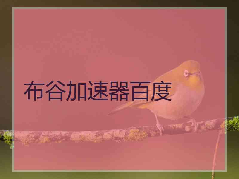 布谷加速器百度