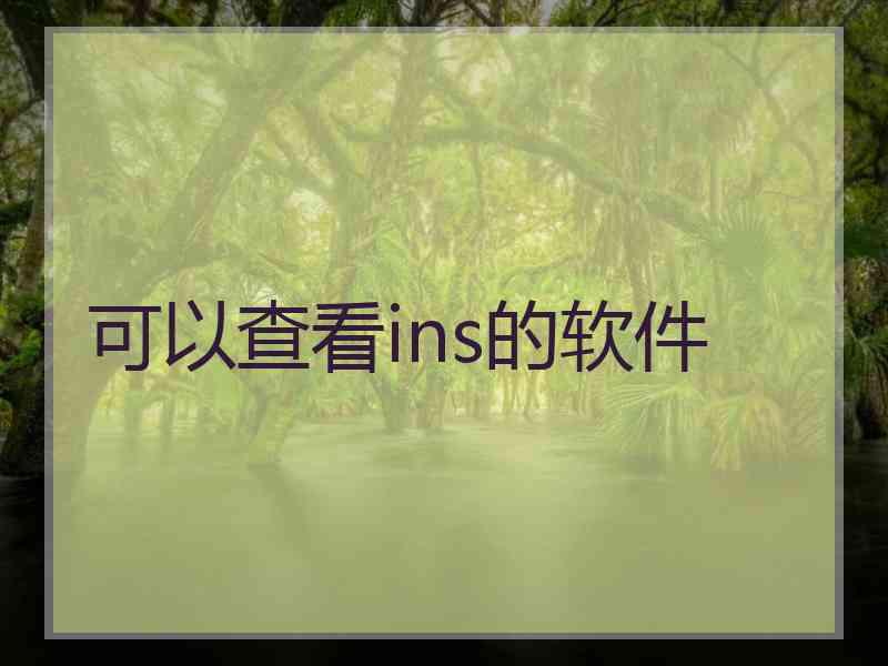 可以查看ins的软件