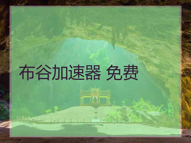 布谷加速器 免费