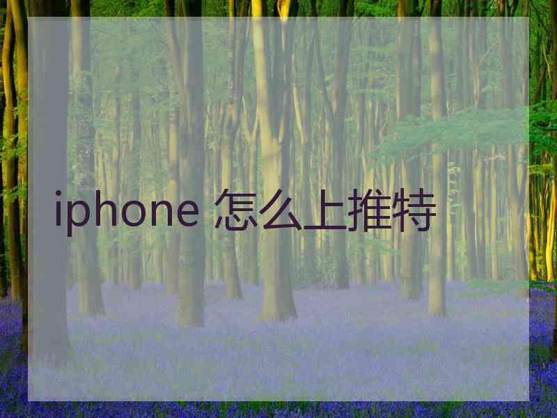 iphone 怎么上推特