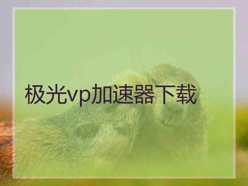 极光vp加速器下载