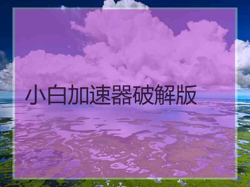 小白加速器破解版