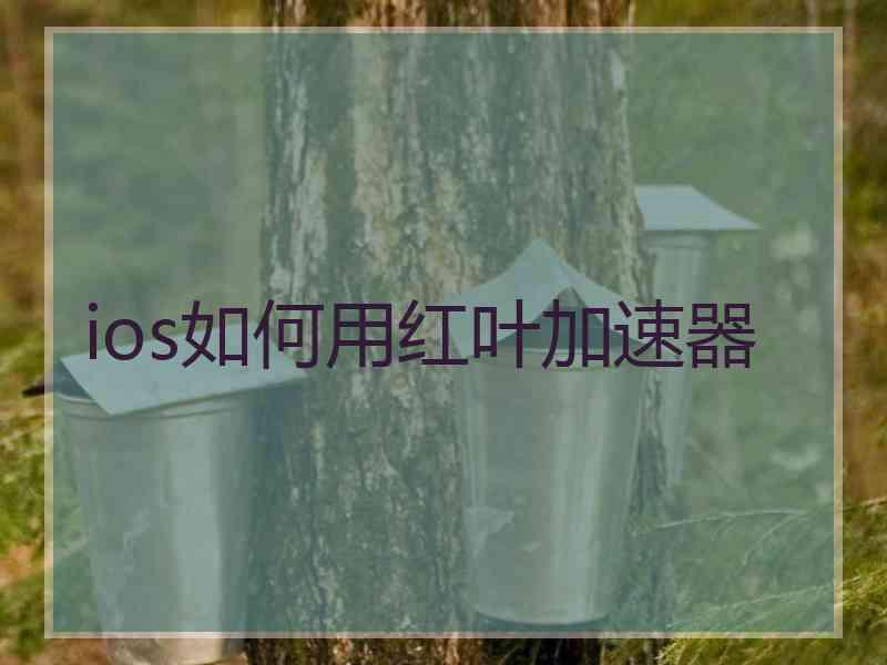 ios如何用红叶加速器