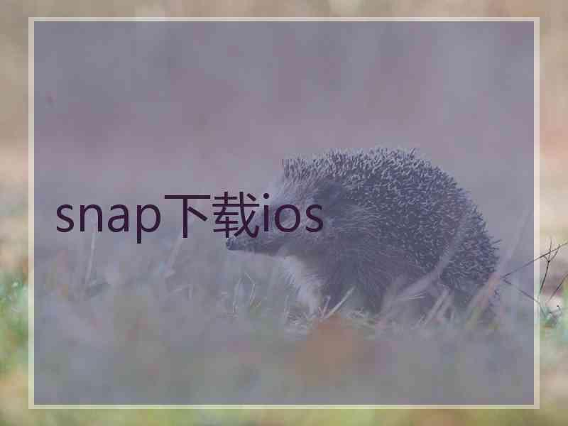 snap下载ios