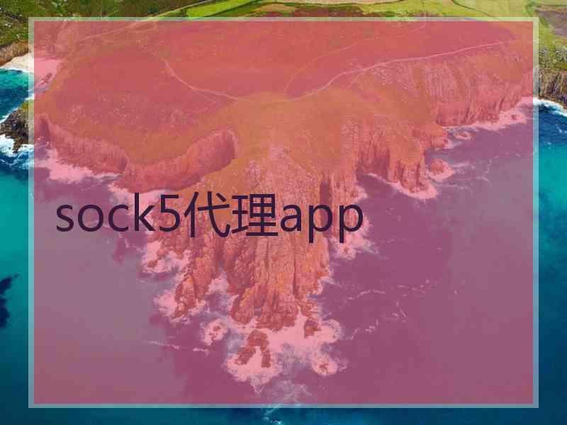 sock5代理app